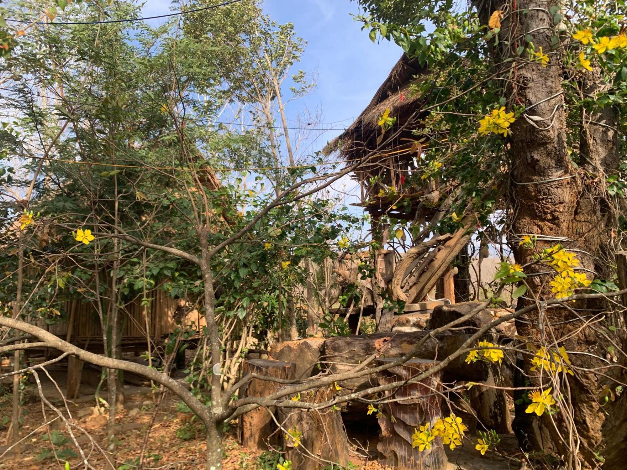 Khu Du Lich Sinh Thai, Nghi Duong Homestay Hoang Anh - Kon Xom Luh Tỉnh Kontum Zewnętrze zdjęcie